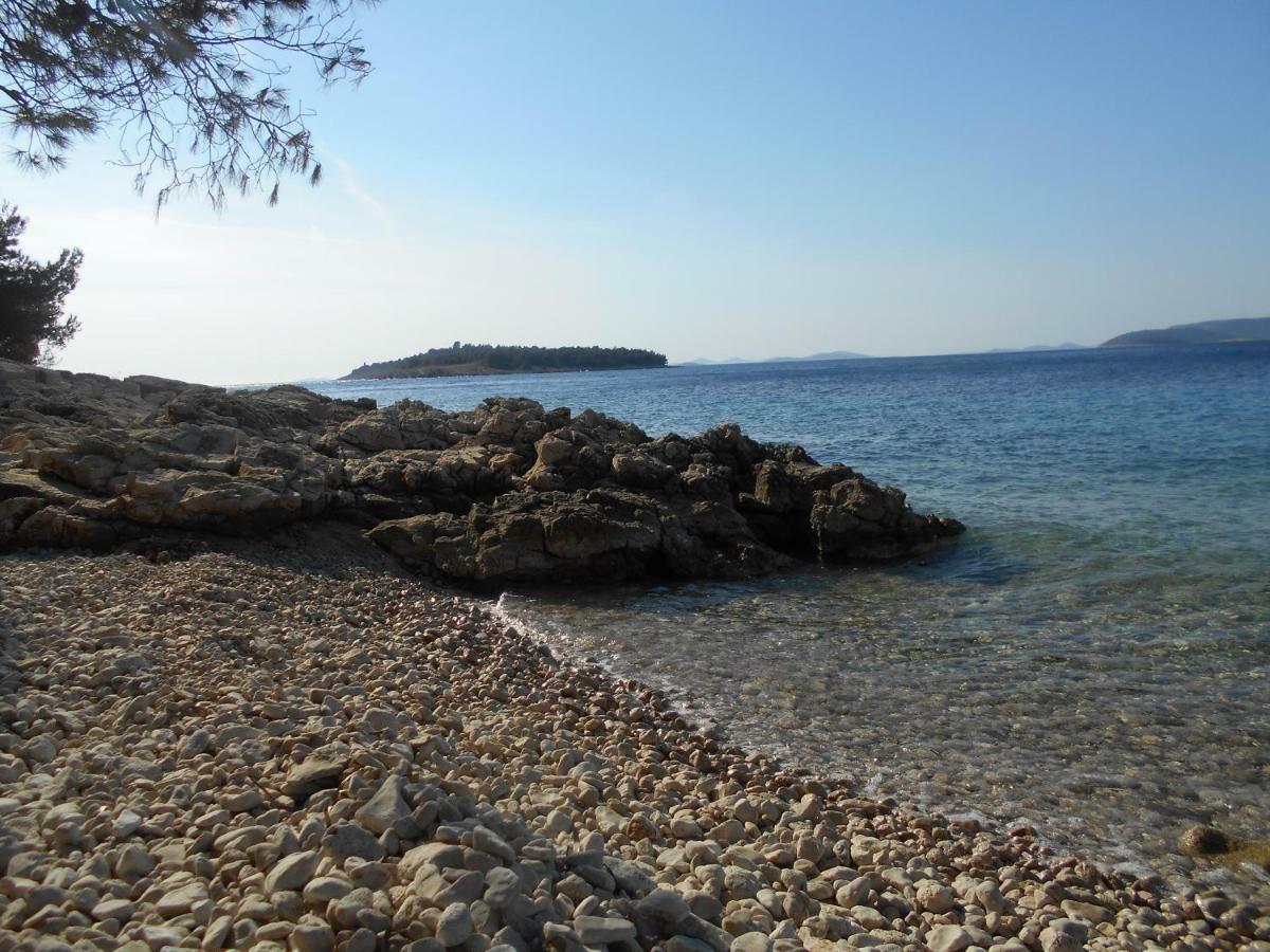Seaview Apartment Marinov - Bilo, Primošten Exterior foto